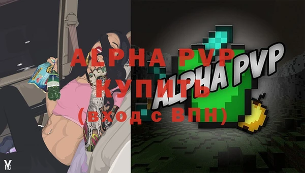 шишки Богородск