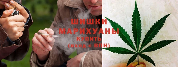 шишки Богородск