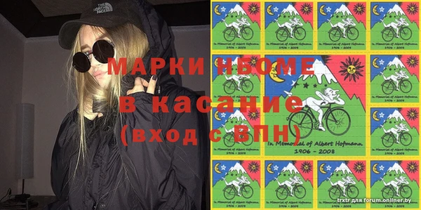 индика Богданович