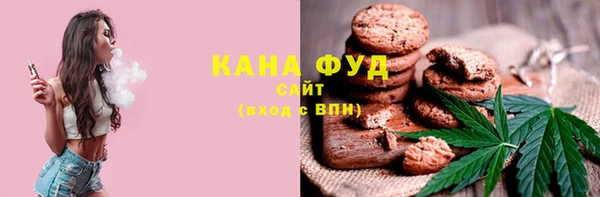 индика Богданович