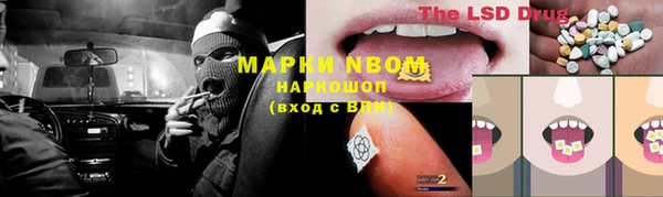 шишки Богородск
