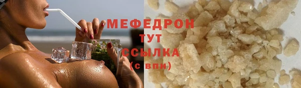 индика Богданович