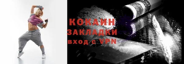шишки Богородск