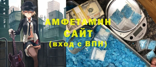индика Богданович