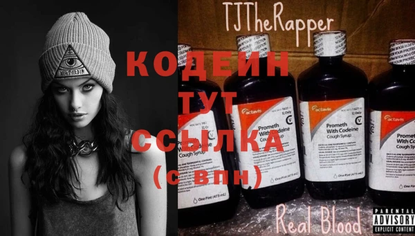 индика Богданович