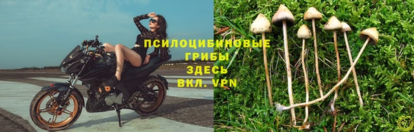 марки nbome Богородицк