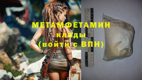 индика Богданович