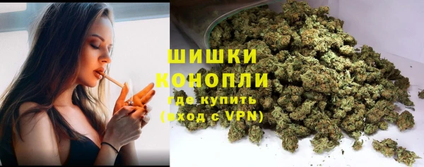 индика Богданович