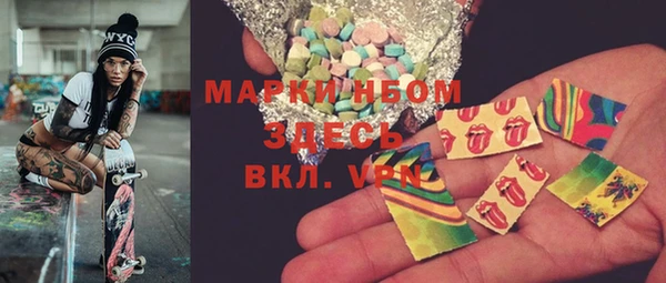 индика Богданович