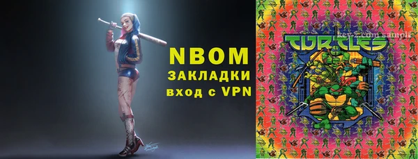 индика Богданович