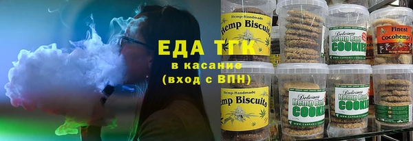 индика Богданович