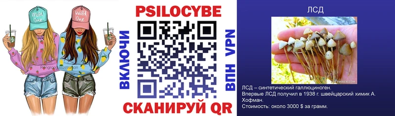 магазин    Кодинск  Галлюциногенные грибы Psilocybe 